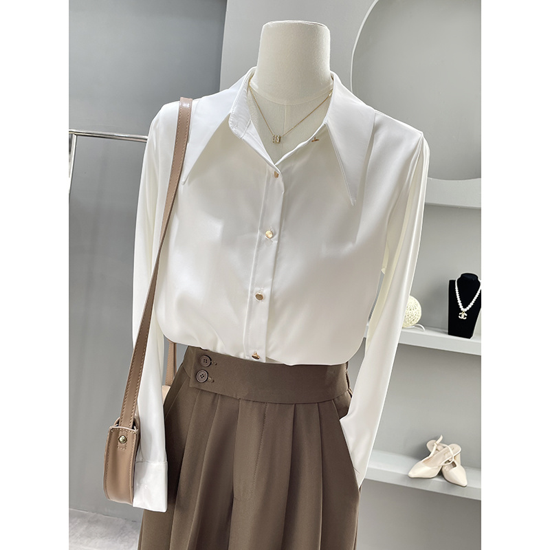Long Sleeve Shirts Womens Chif - Women'S Formal Wear Blouse review and price