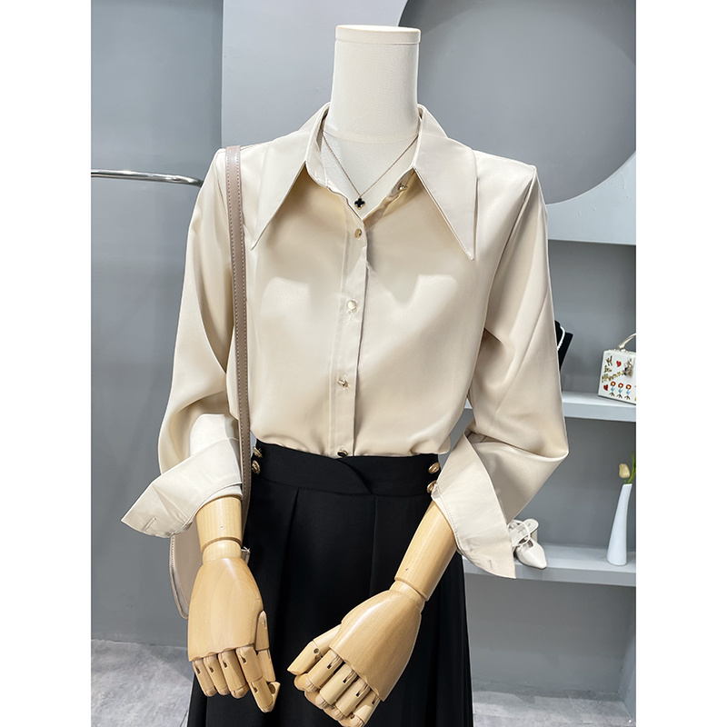 Long Sleeve Shirts Womens Chif - Women'S Formal Wear Blouse review and price