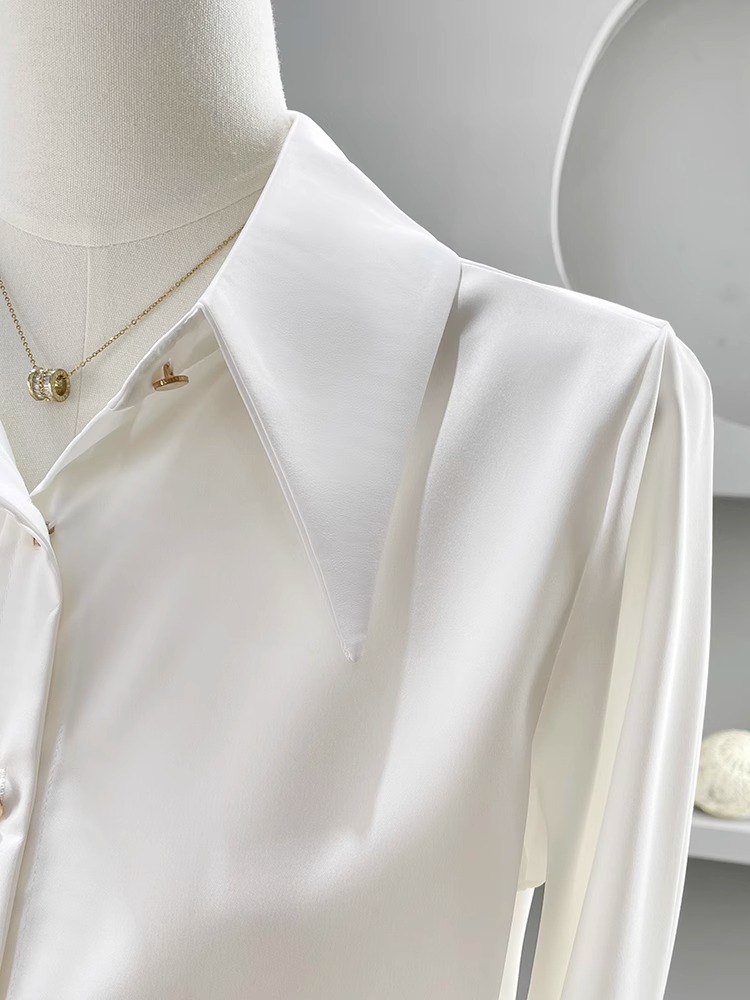 Long Sleeve Shirts Womens Chif - Women'S Formal Wear Blouse review and price