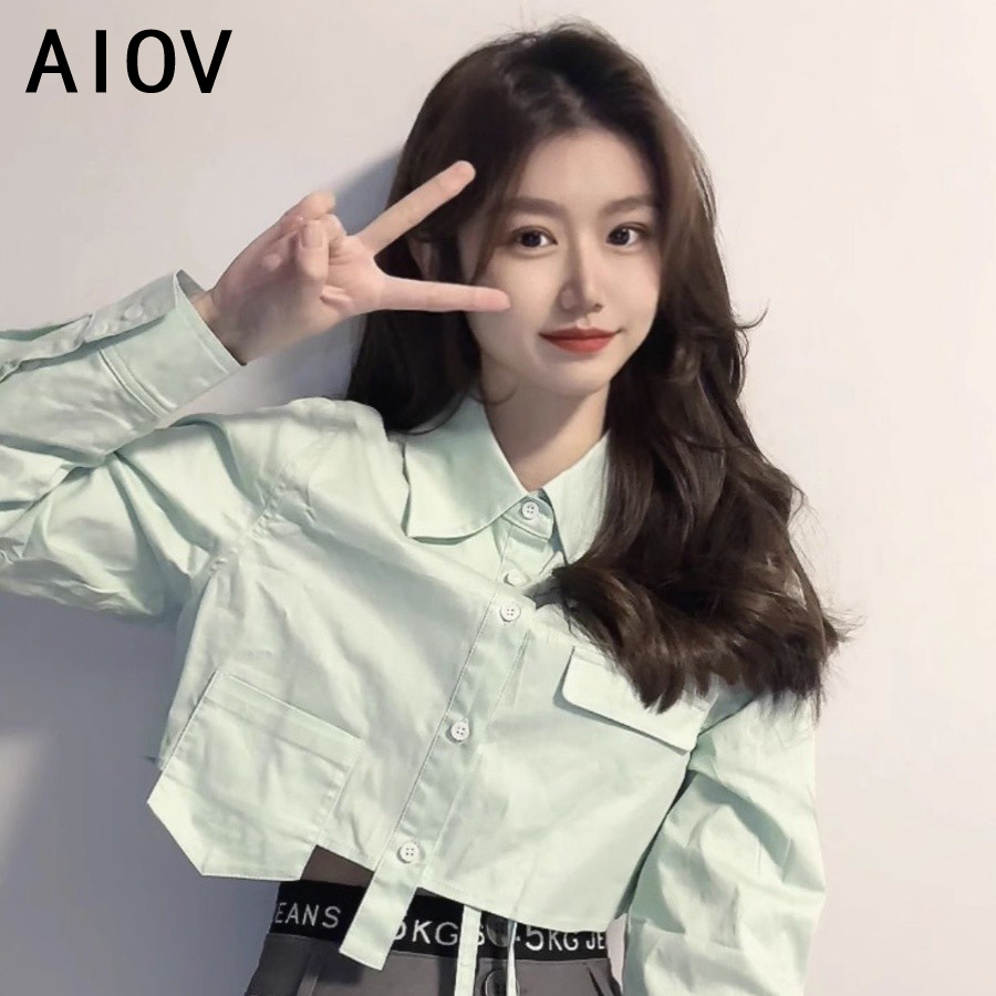 Long Sleeve Shirts Womens Stri - Women'S Formal Wear Blouse review and price